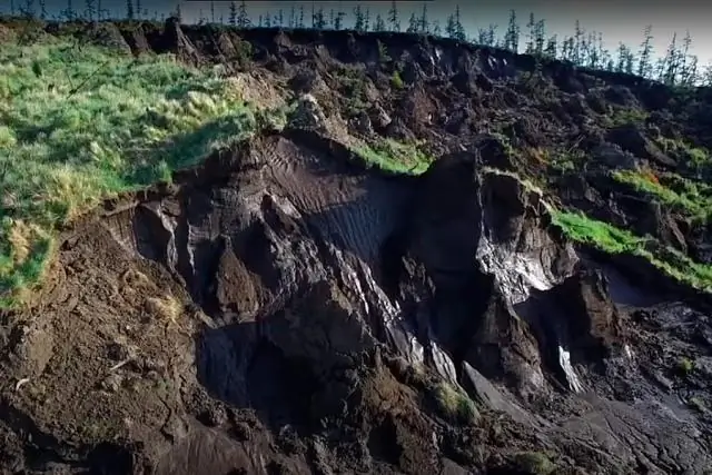 Как криоконсервировать эмбрионы рыб, вернуть их к жизни