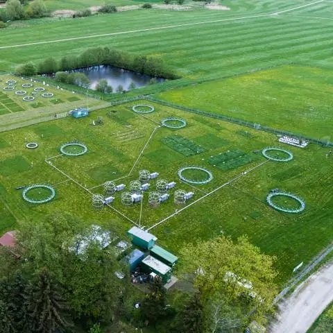 Слюда дает представление о том, как вода переносит минералы