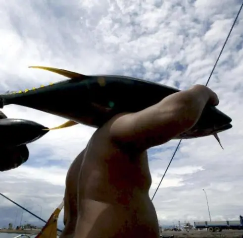 Новая модель прогнозирует усиление пыльных бурь в США