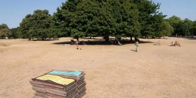 Рекордная морская жара, вызванная изменением климата, нанесла ущерб рыбному промыслу Тасмании