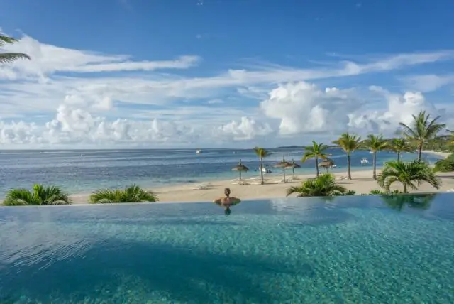 Является ли этот трубчатый червь из Мексиканского залива самым долгоживущим животным в мире? Трубчатый червь Escarpia laminata может жить не менее 300 лет