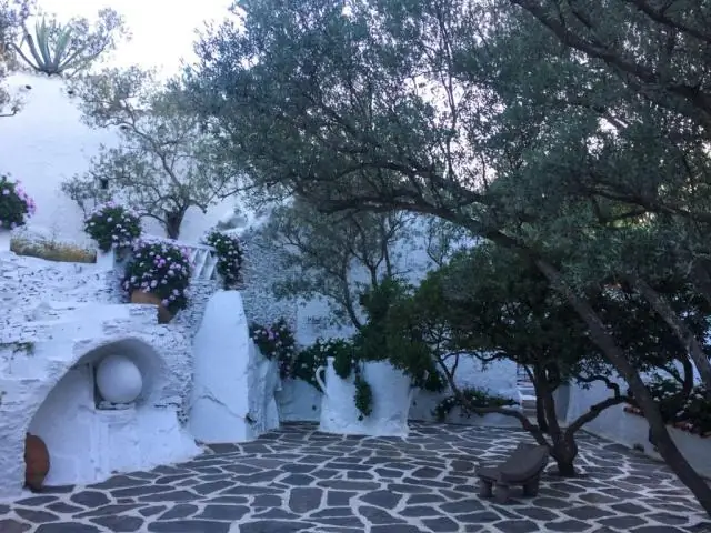 Новый свет на тайную жизнь барсуков