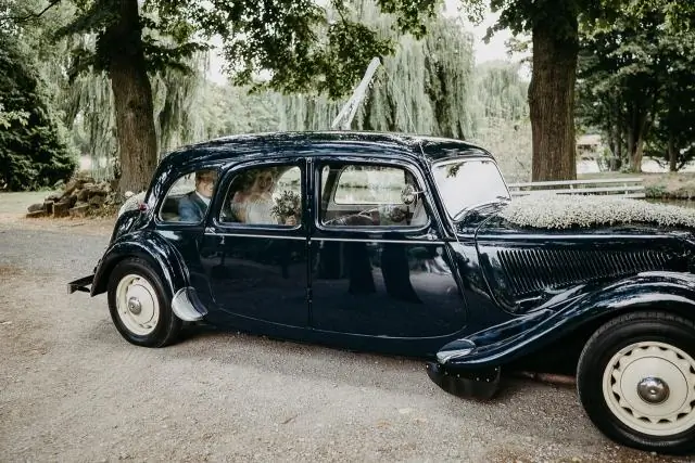 Связь между братьями и сестрами крепче, когда папа рядом: исследование на животных: первое исследование, изучающее, как отцы-бабуины влияют на отношения между их потомками