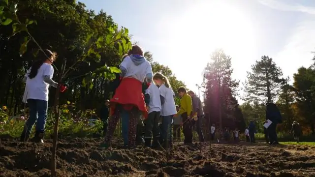 Удаление CO2 из воздуха необходимо для защиты будущего детей