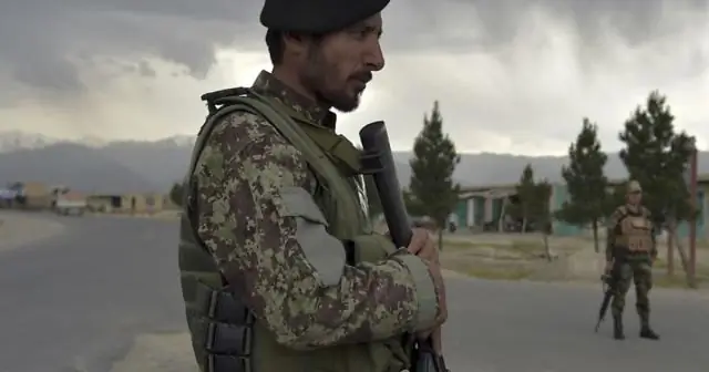 Жизнь зародилась на суше, а не в море? Гипотеза, меняющая парадигму, может изменить наше представление о происхождении жизни