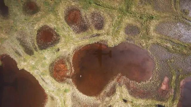 Таяние вечной мерзлоты высвобождает старые парниковые газы: исследование в дельте Маккензи в Канаде показывает большое количество геологических выбросов метана