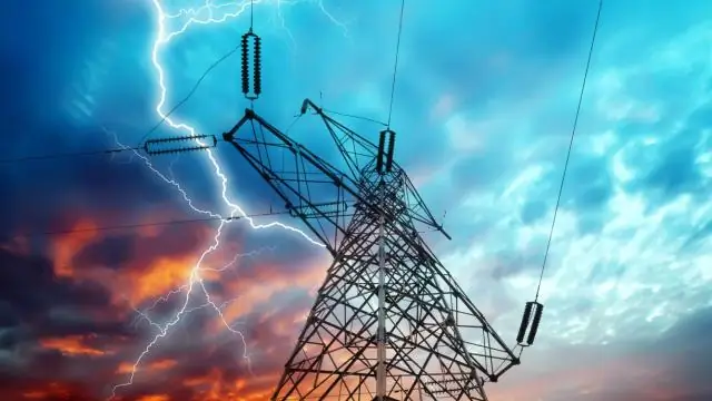 Белок, произведенный с помощью электричества, поможет уменьшить голод в мире