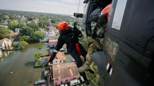У лягушек предотвращение нарушений микробиома кишечника в раннем возрасте приводит к улучшению здоровья