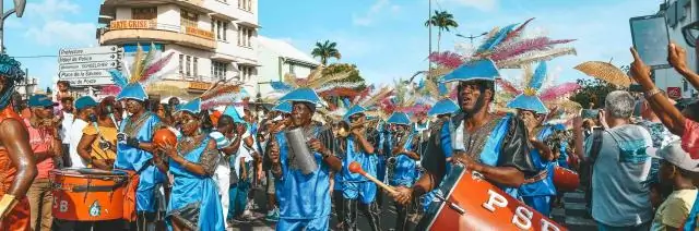 Морские слоны узнают друг друга по ритму криков