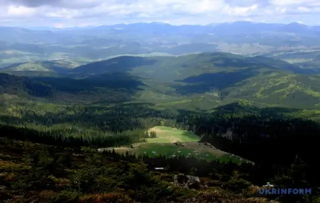 Платить людям за защиту леса – это того стоит