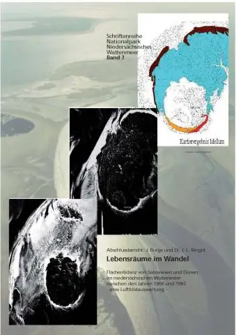 Луга с водорослями: Критические места обитания молоди рыб и дюгоней на восточном побережье островов Джохор