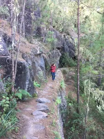 Новые виды нефотосинтезирующих растений обнаружены на острове Исигаки, Япония