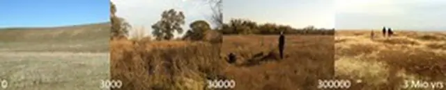 Улучшенные модели углеродного цикла растений