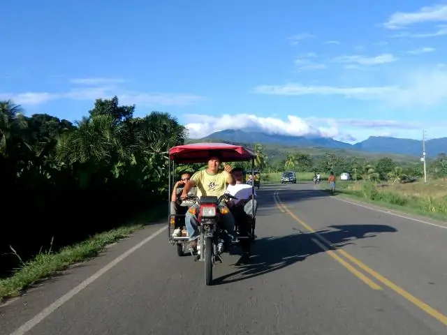 Мегаполис тропических лесов отбрасывает тень на дикую природу на расстоянии 1000 км: спрос на продовольствие в городах Амазонки может ударить по дикой природе на расстоянии до 1000 км от города