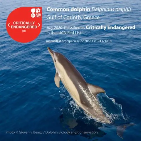 Изменение климата представляет угрозу для производства электроэнергии в Европе