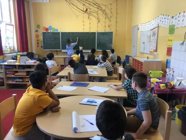 Археологи нашли ключ к отслеживанию древней пшеницы в замороженном ящике бронзового века