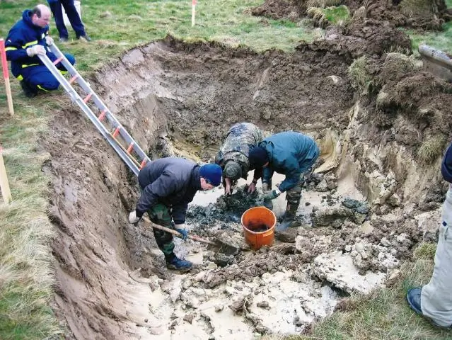 Выявление основных переходов в культурной эволюции человека: достижения в методах и данных раскрывают общие закономерности культурной эволюции