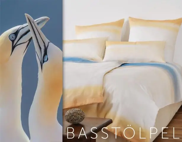 Взрослые олуши находят любимые места для рыбалки