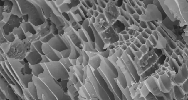 Biochar может очищать воздух более чем одним способом: здоровье и экономические выгоды от улавливания оксида азота в сельском хозяйстве изложены в исследовании