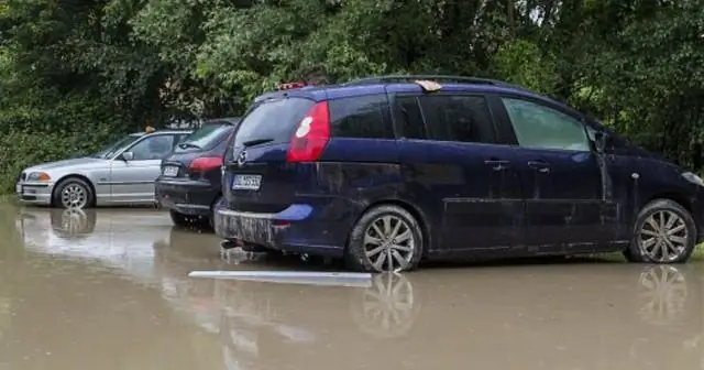 Круги на песке свидетельствуют о том, что катание на лодках наносит ущерб морскому биоразнообразию