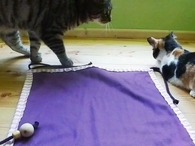 Любишь полежать в гамаке? Тот - и другие переменные - будут влиять на то, как вы удобряете, орошаете