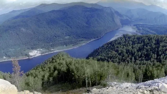 Что стало причиной величайшего вымирания в мире?