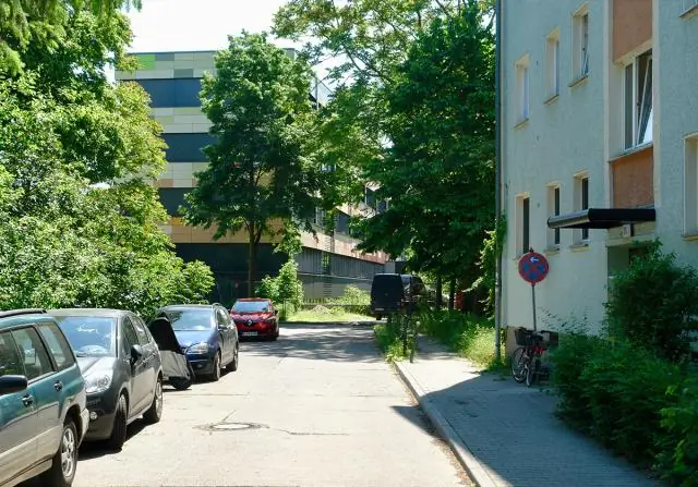 Новая желтая морская змея принимает необычную позу из засады