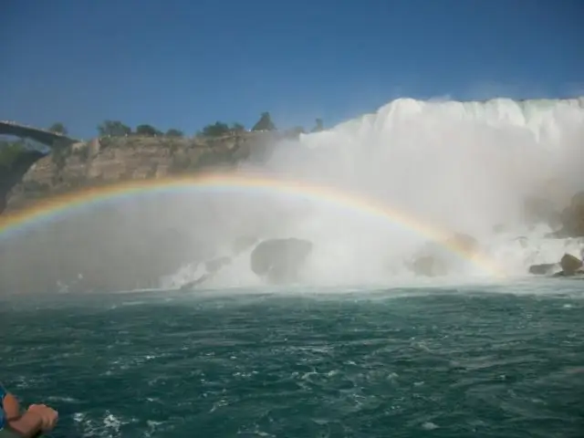 Наведение мостов внутри клетки с помощью света: как новая техника позволяет исследователям настраивать связь между органеллами в масштабе нанометров