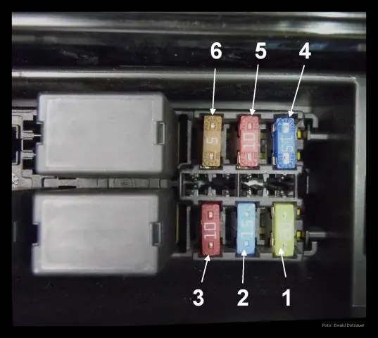 Потеря 350 миль ручьев Великих равнин вызывает изменения в водной пищевой сети