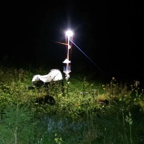 Световое загрязнение как новая угроза опылению