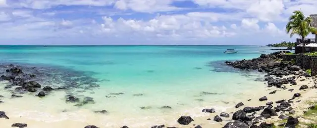 Паук-люк, возможно, рассеялся по океану от Африки до Австралии: пауки на двух континентах разошлись спустя миллионы лет после разделения Гондваны