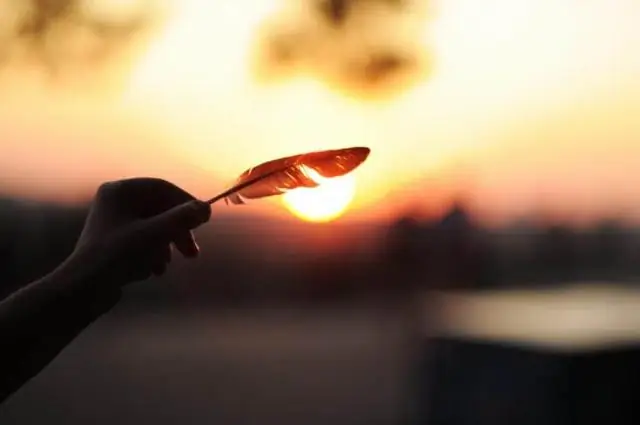 Изотопные отпечатки перьев раскрывают секретные места размножения певчих птиц