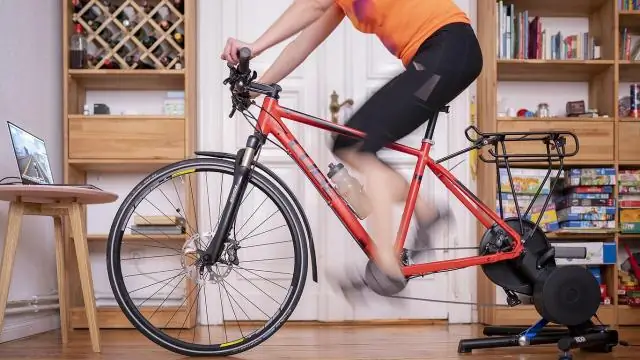 Несмотря на тяжелую броню, новый динозавр использовал камуфляж, чтобы скрыться от хищников