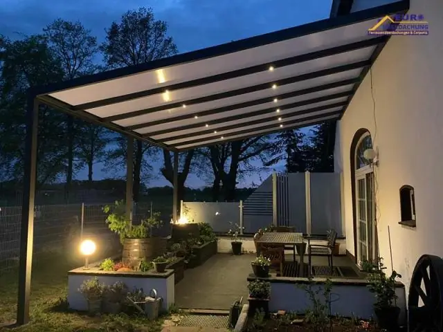 Пустынные черепахи не выносят жары придорожных ограждений: баланс роста возобновляемой энергии с местными видами