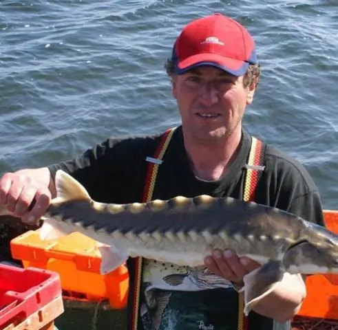 Морские заповедники решают проблему прилова в океанах: заповедники помогают рыбакам ловить ту рыбу, которую они хотят, и защищают ту, которую они не хотят