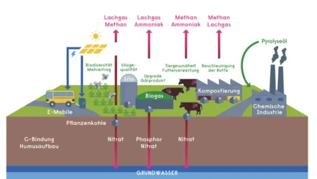 Biochar демонстрирует преимущества покрытия отстойника для навоза: миссия по сокращению выбросов