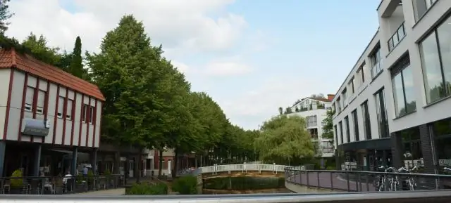 Как городские морские змеи потеряли свои полосы