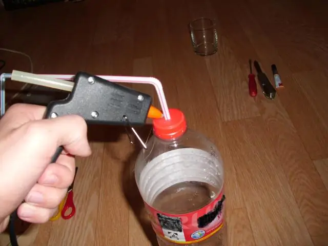 Как золотые рыбки вырабатывают алкоголь, чтобы выжить без кислорода