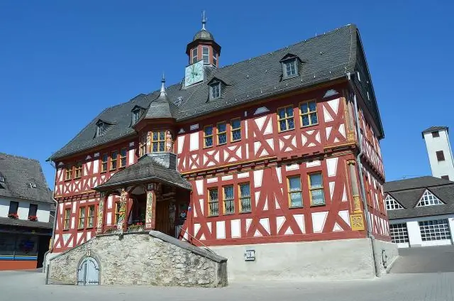 Увидеть вирус в действии