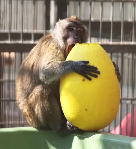 Понимание устойчивости к антибиотикам: используя экспериментальные и вычислительные методы, исследователи раскрывают работу системы защиты бактерий