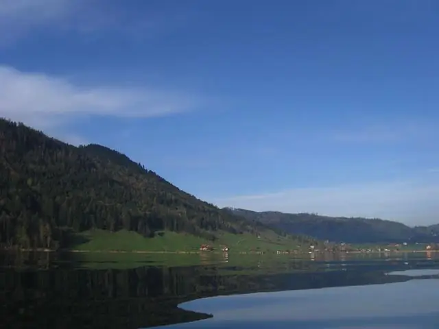 Озерная форель корректирует свое поведение перед лицом изменения климата, новое исследование