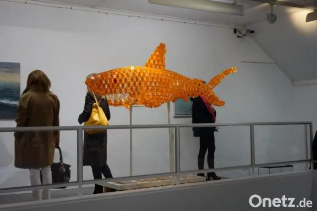 Новые виды деревьев, находящиеся под угрозой исчезновения, зависят от уникальной среды обитания, встречающейся только на Кауаи