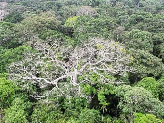 Оценка урожайности по спутниковым данным