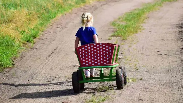 Ларвообразные обеспечивают путь для транспортировки микропластика в глубоководные пищевые сети