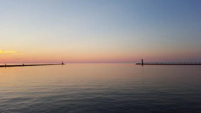 Changing tides: Озеро Мичиган может лучше всего поддерживать озерную форель и стальную голову