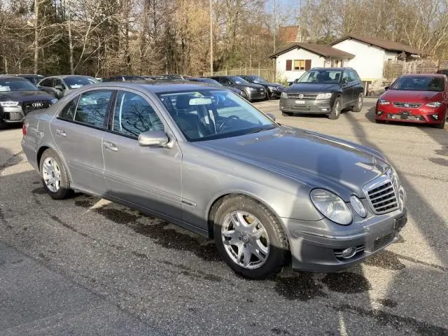 ‘Euro Devil’: Окаменелость плотоядного сумчатого родственника обнаружена в Восточной Европе