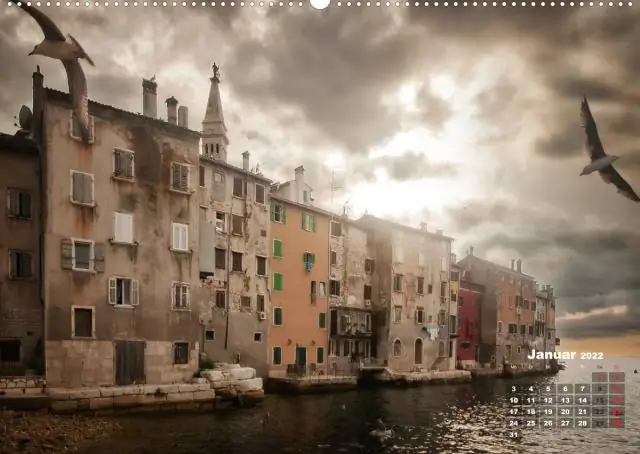 Проведена первая успешная оценка состояния здоровья диких китовых акул: научная веха расширит понимание сообщества этого исчезающего вида