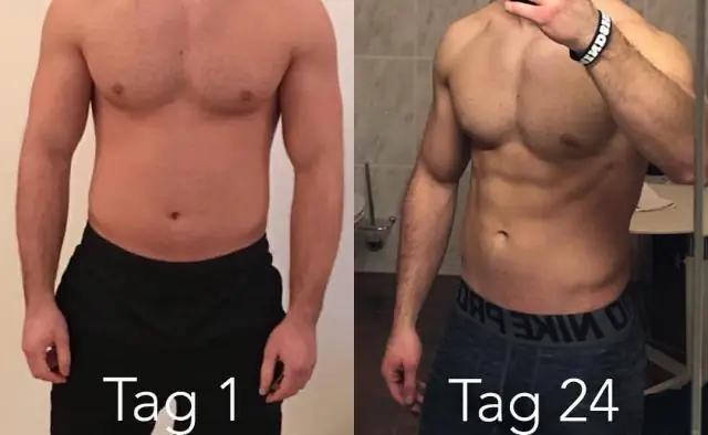 Птичьи мозги? Вовсе нет: камышевки раскрывают магнитную карту: взрослые камышевки способны определять склонение от магнитного севера