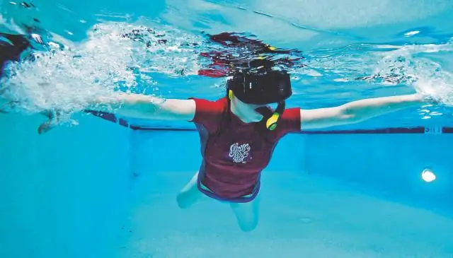 Когда рыбы плавают в голодеке: виртуальные миры позволяют создавать новые экспериментальные конструкции для изучения функций мозга