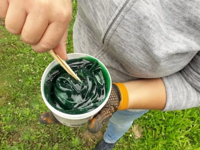 Новый вид белки-летяги обнаружен вдоль тихоокеанского побережья Северной Америки